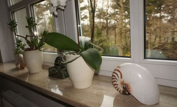 Stolarka okienna w pokoju dziecięcym